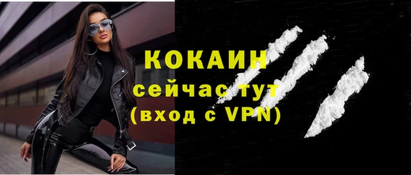 гашик Богородицк