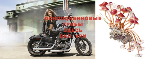 марки nbome Богданович