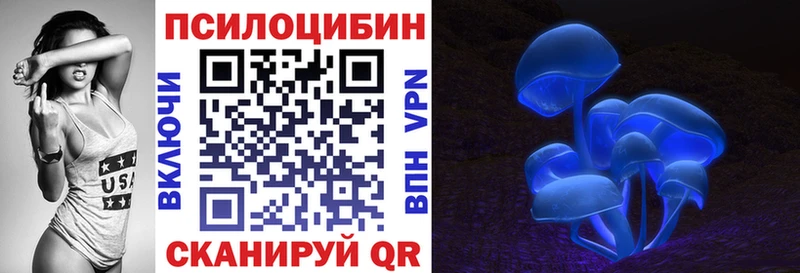 Псилоцибиновые грибы Cubensis  Кузнецк 