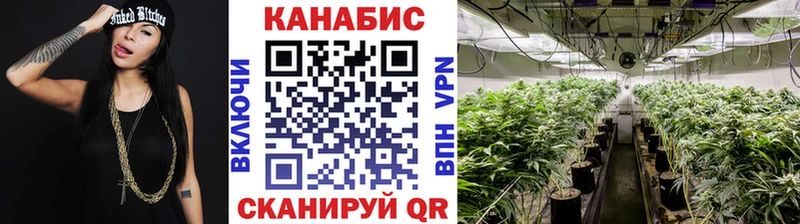 Бошки марихуана MAZAR  как найти закладки  Кузнецк 